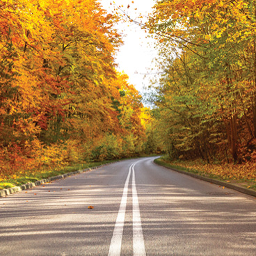 Long Distance Medical Transport Services| MMT America